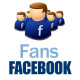 Fans Facebook
