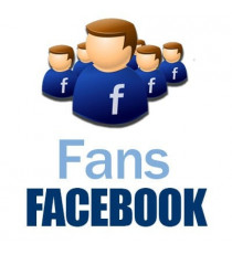 Fans Facebook